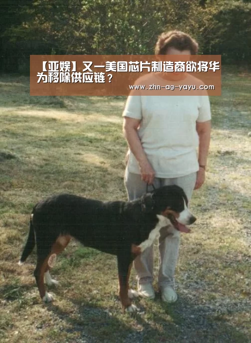 【亚娱】又一美国芯片制造商欲将华为移除供应链?(图1) 亚娱