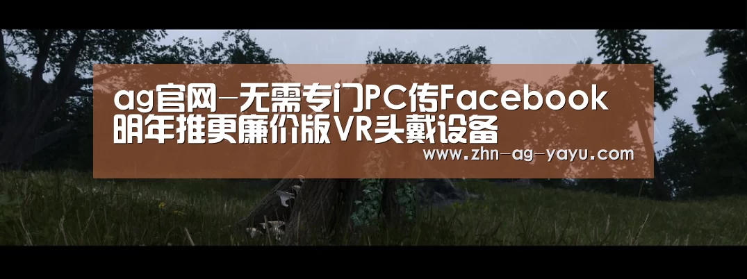 ag官网-无需专门PC传Facebook明年推更廉价版VR头戴设备(图1) ag亚娱