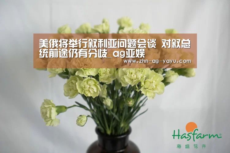 美俄将举行叙利亚问题会谈 对叙总统前途仍有分歧_ag亚娱(图1) ag官网